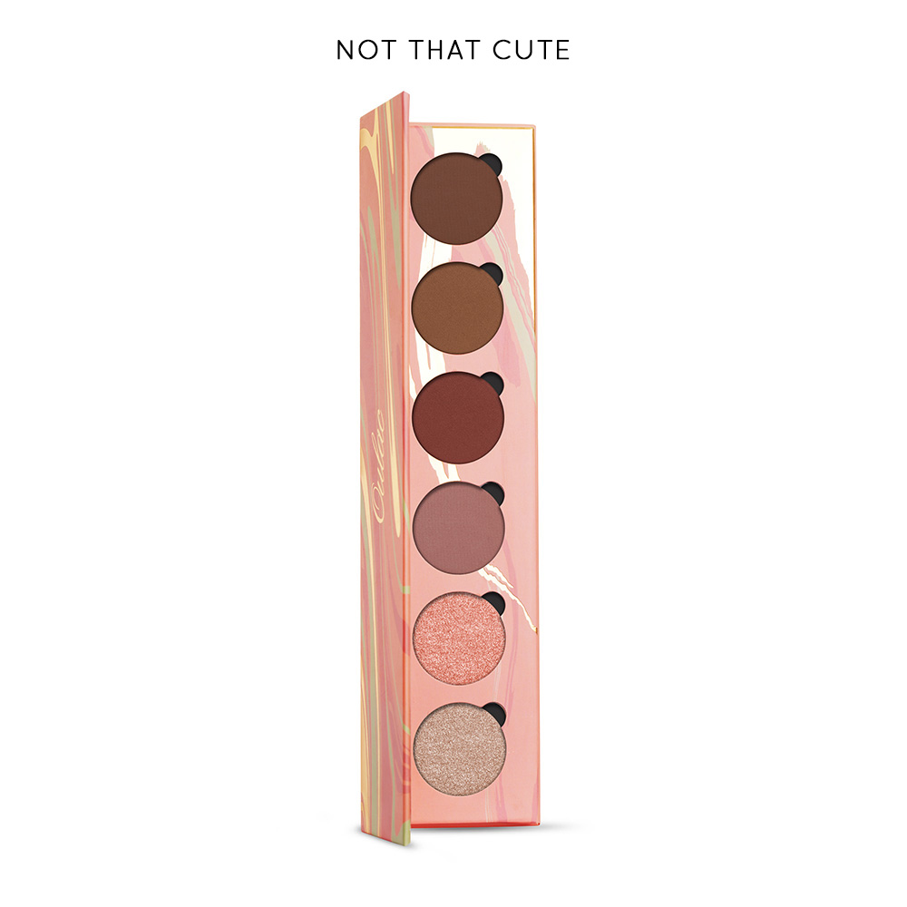 03 6-Shades-eyeshadow-Palette-Not-That-Cute-product 03 6-Shades-eyeshadow-Palette-Not-That-Cute-product