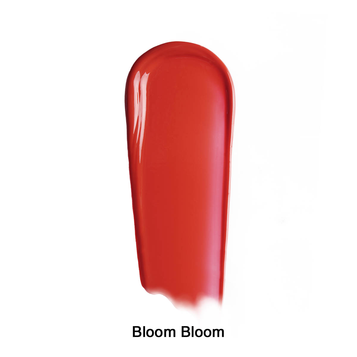 04 Bloom Bloom 04 Bloom Bloom