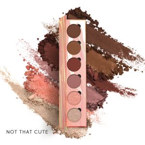 05 6-Shades-Eyeshadow-Palette-Not That Cute-product-Texture