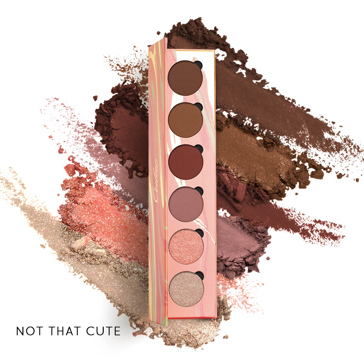 05 6-Shades-Eyeshadow-Palette-Not That Cute-product-Texture 05 6-Shades-Eyeshadow-Palette-Not That Cute-product-Texture