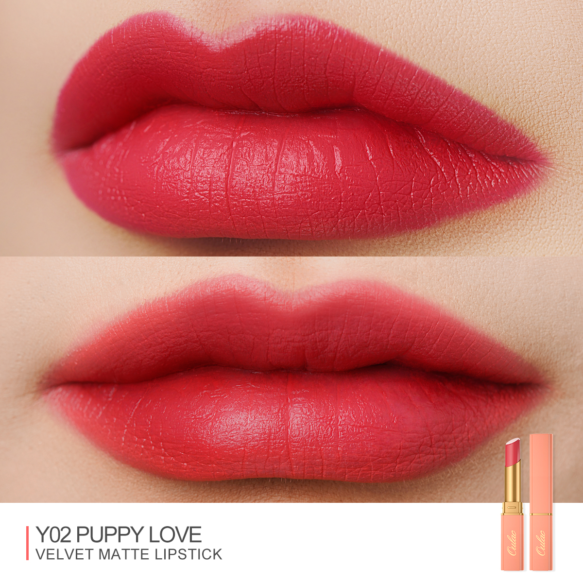 05 Y02 Puppy Love-04 Showcase