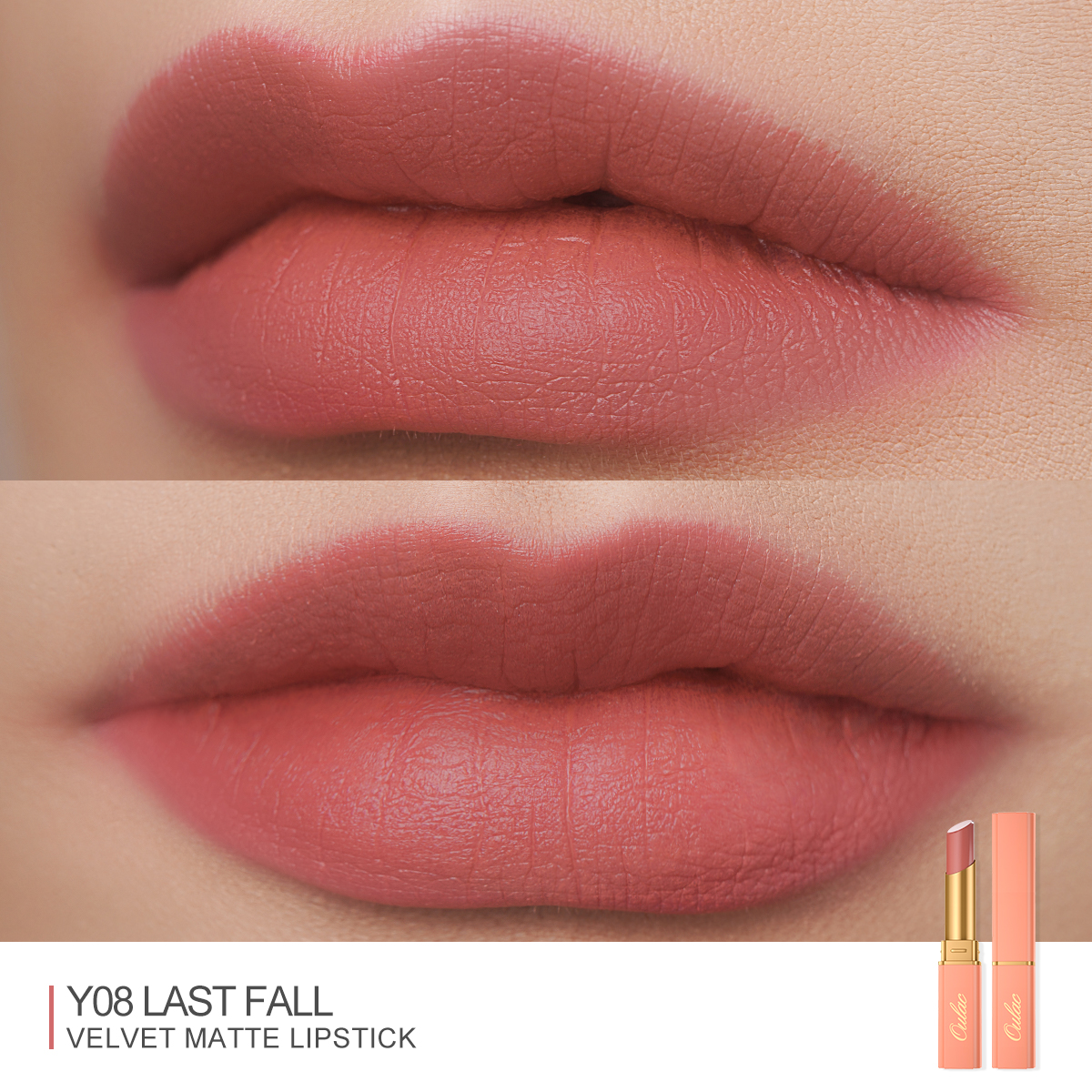 05 Y08 Last Fall-04 Showcase