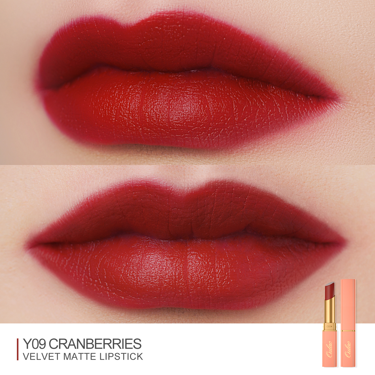 05 Y09 Cranberries-04 Showcase