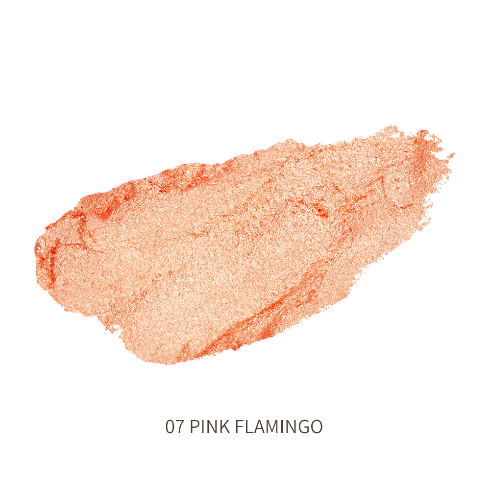 06 07 Pink Flamingo-texture